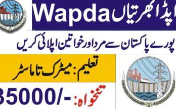 WAPDA Job